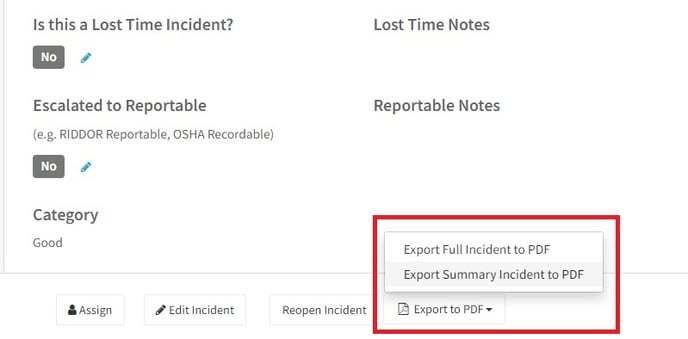 Export_Summary_Incident_PDF